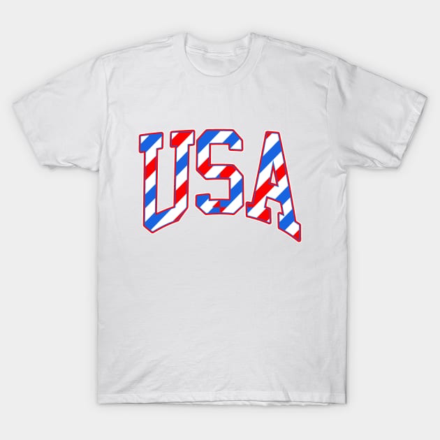 USA Pride Striped Font T-Shirt by Scarebaby